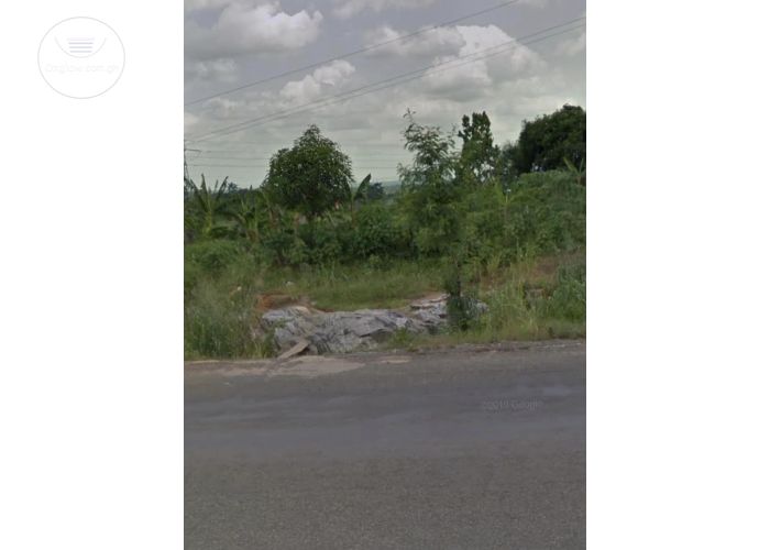 Listing Fallback Image