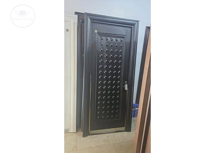 Paladin security door 