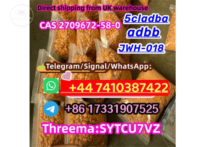 Listing Fallback Image