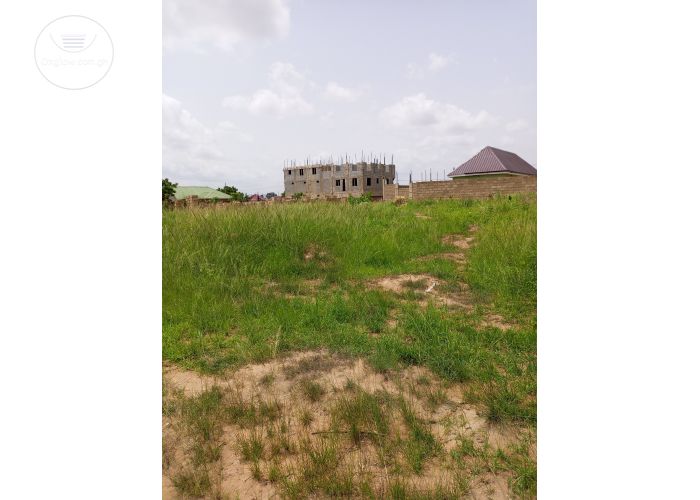 Listing Fallback Image