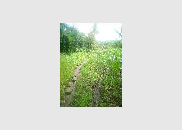Listing Fallback Image