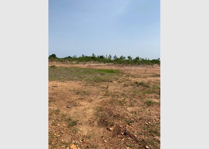Listing Fallback Image