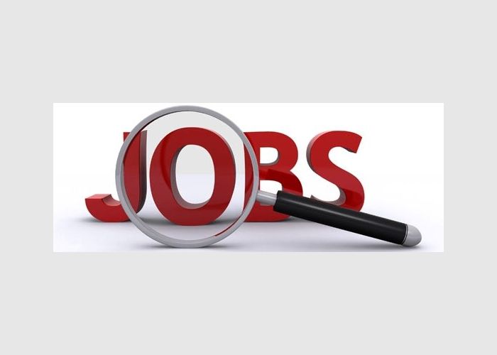 Vacancy for Senior Sales Executive