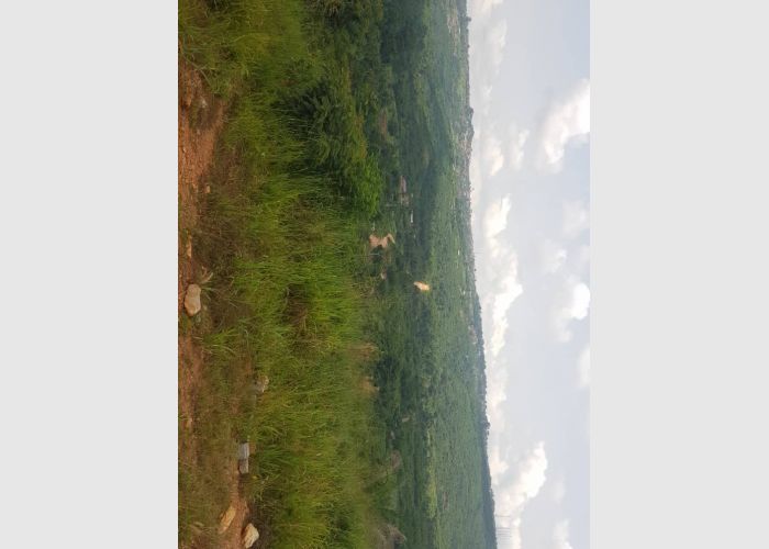 Listing Fallback Image