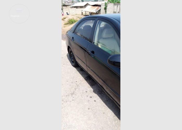 Listing Fallback Image