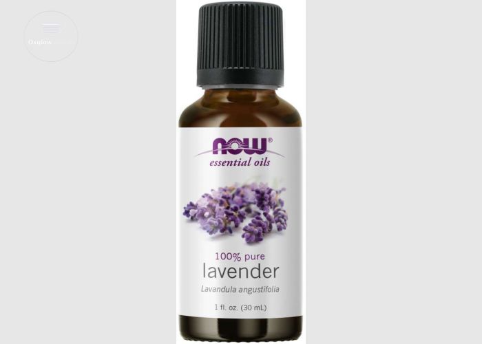 now essential lavender oil 30ml