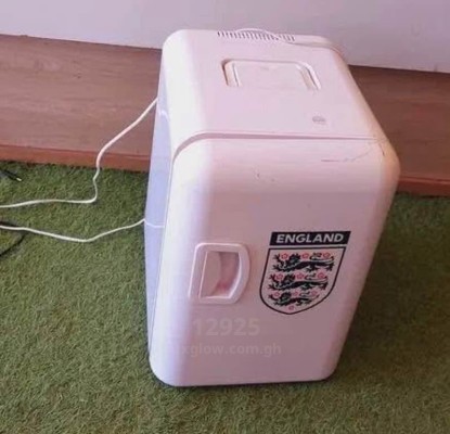 Potable Freezer