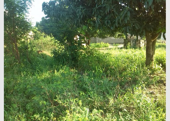 Registered Land for sale at ACP.