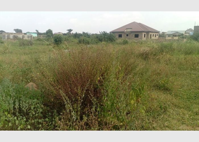 Registered Land for sale at Domefaase near Amasaman