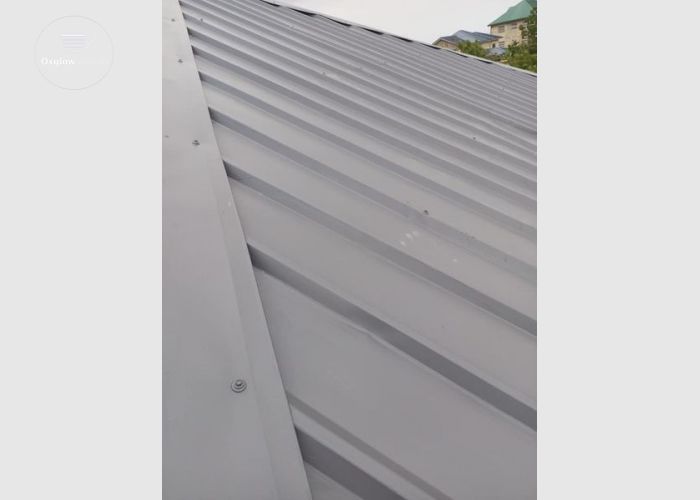 Roof painting 
