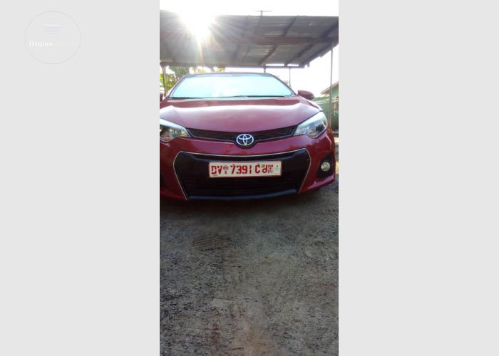 Listing Fallback Image